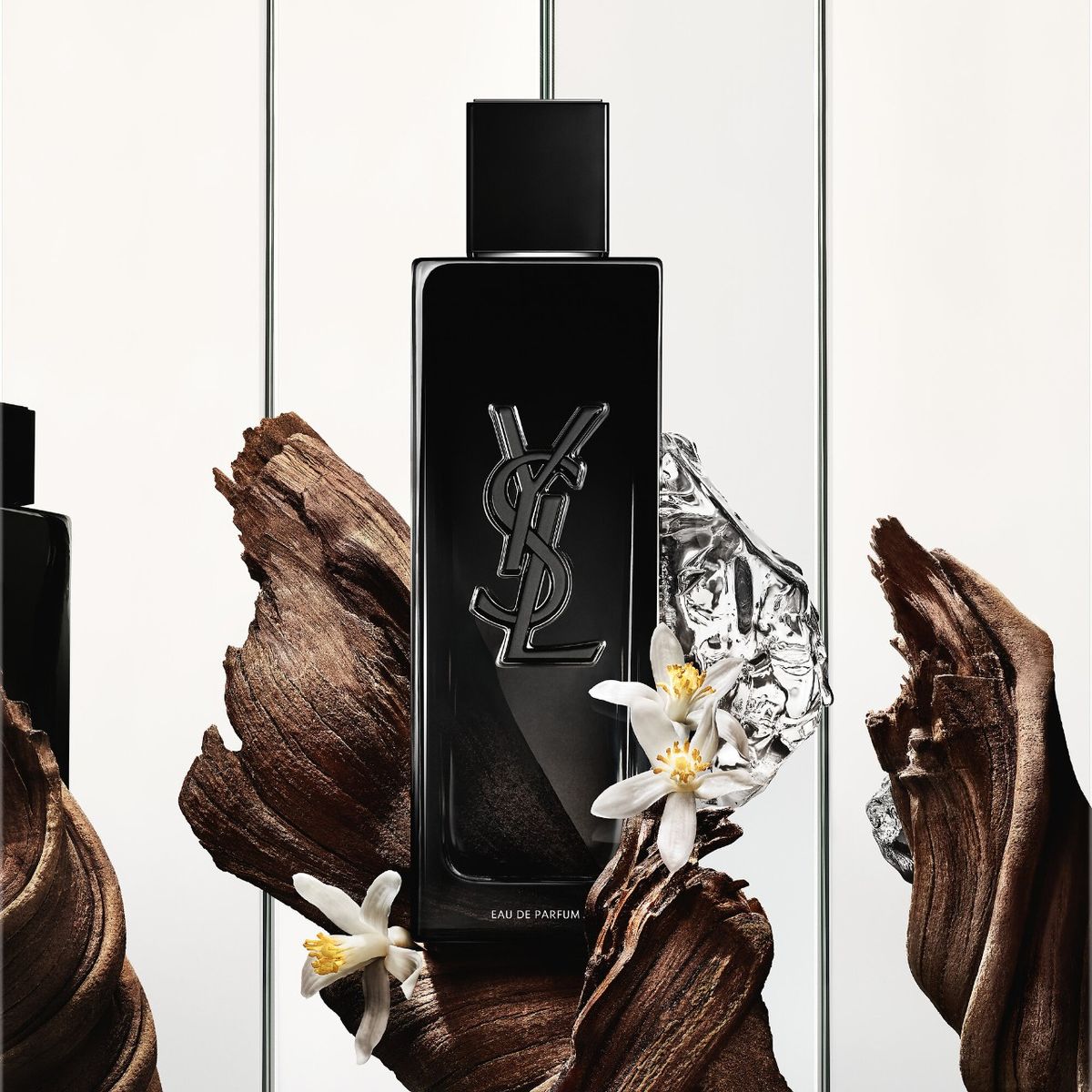 Yves Saint Laurent Myslf
